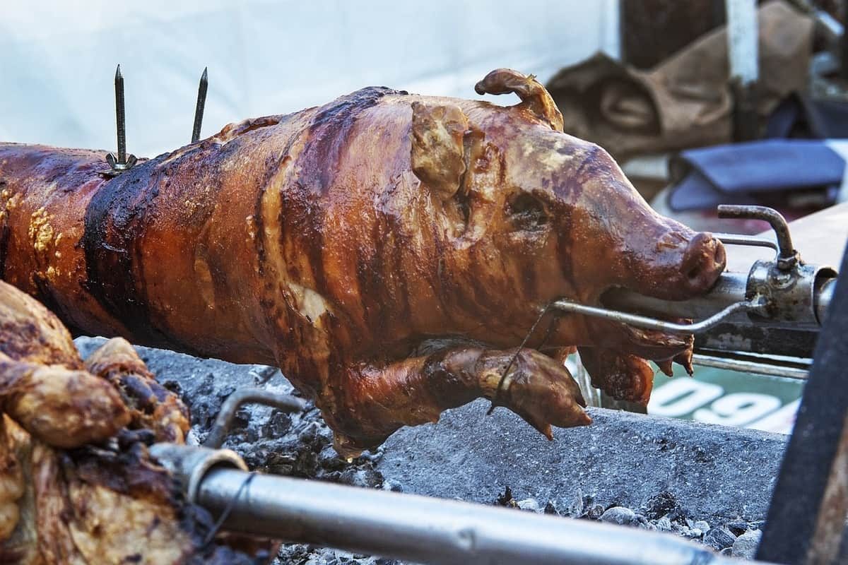 cochon de lait à la broche