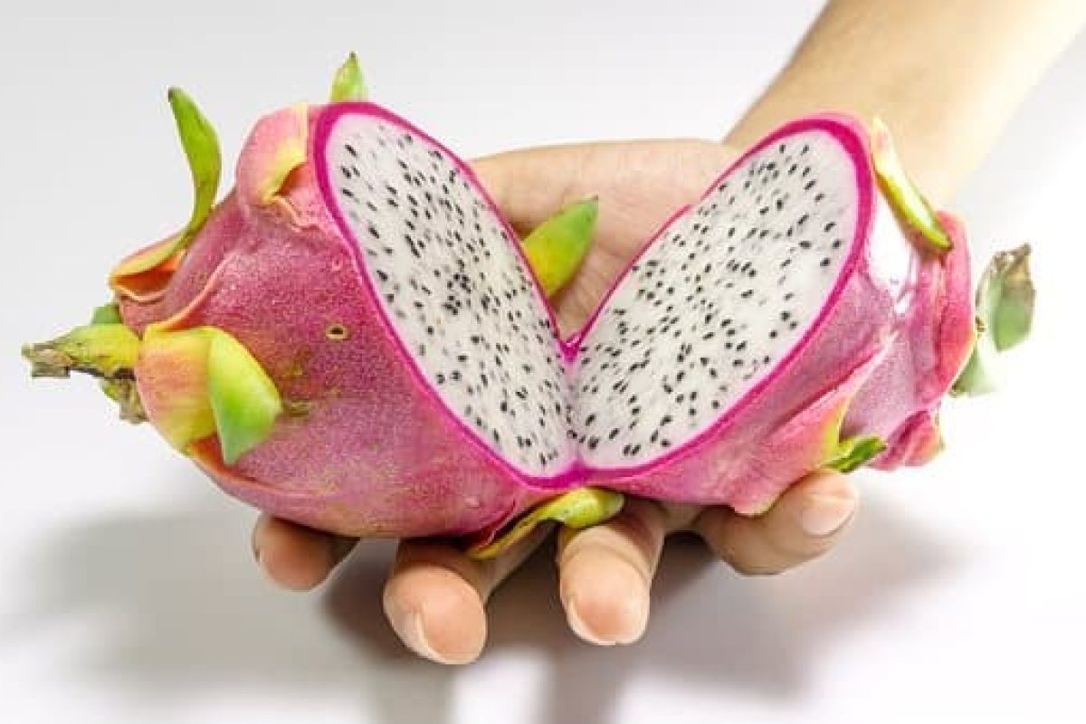 Fruit Du Dragon Prix